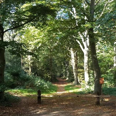 Vakantiehuisje Gaasterland Oudemirdum Friesland Nederland Εξωτερικό φωτογραφία