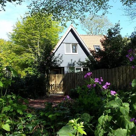 Vakantiehuisje Gaasterland Oudemirdum Friesland Nederland Εξωτερικό φωτογραφία