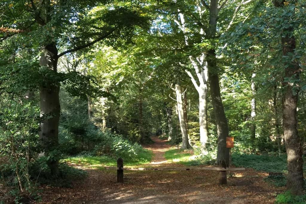 Vakantiehuisje Gaasterland Oudemirdum Friesland Nederland Εξωτερικό φωτογραφία