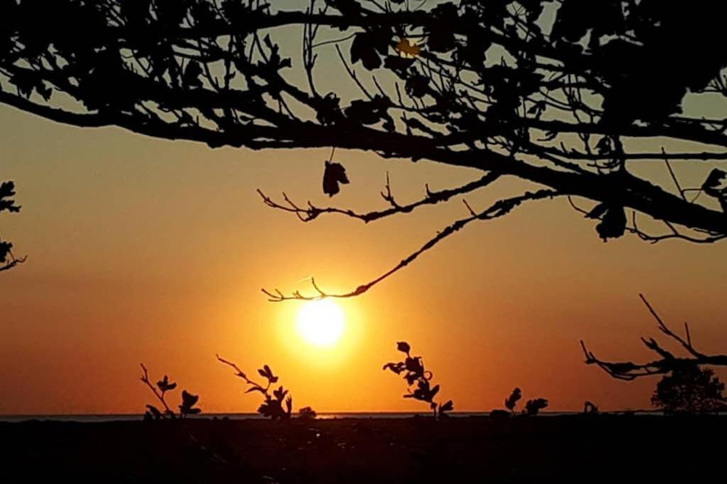 Vakantiehuisje Gaasterland Oudemirdum Friesland Nederland Εξωτερικό φωτογραφία